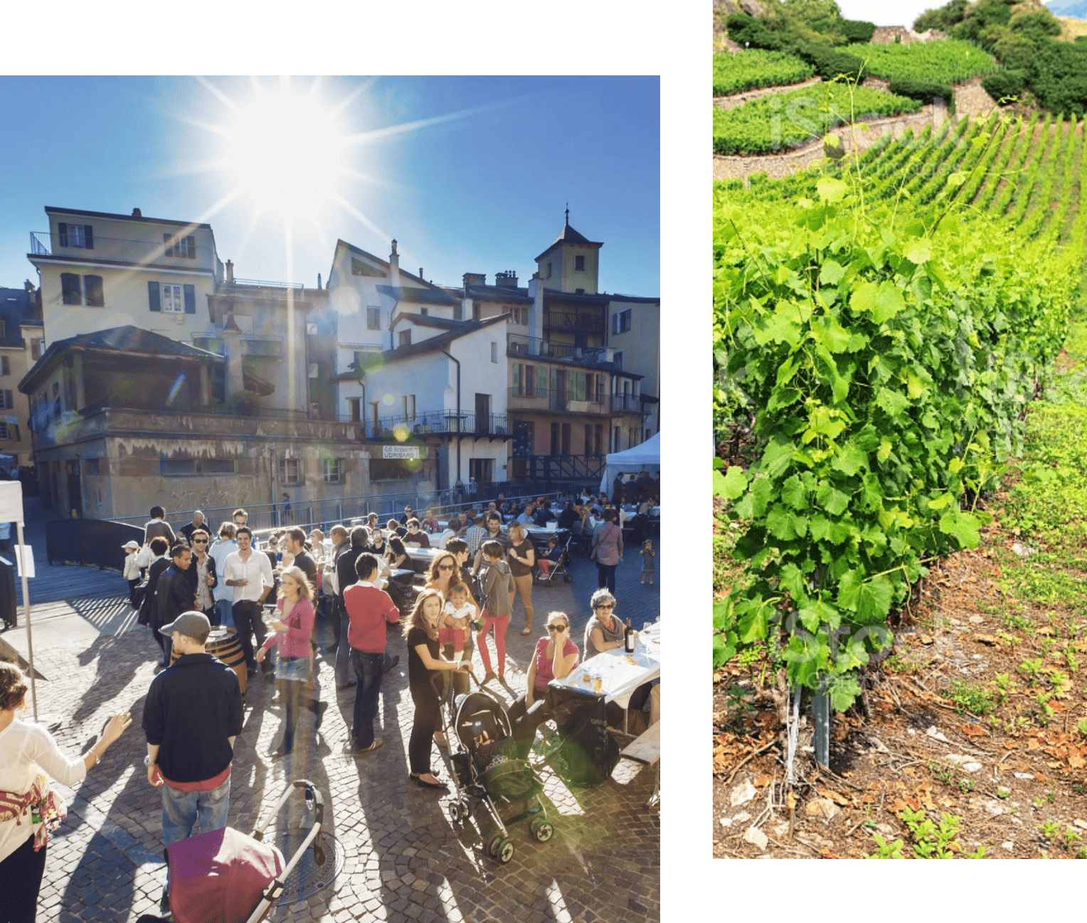 plusieurs photos de la région